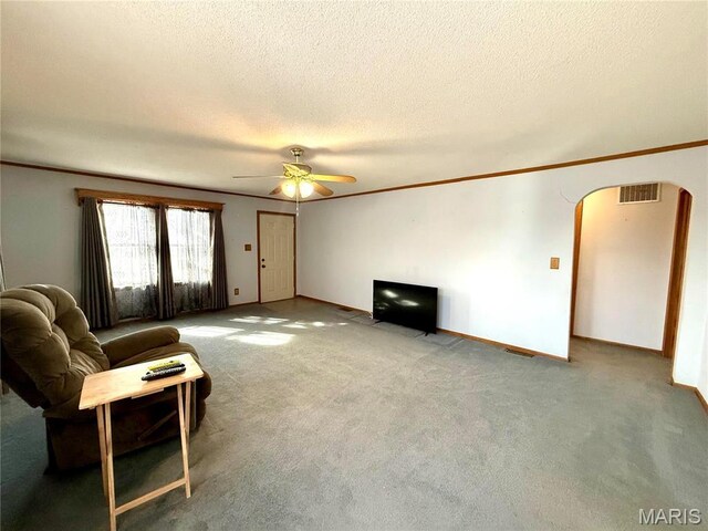 509 & St, Wellsville, MO 63384 - photo 26