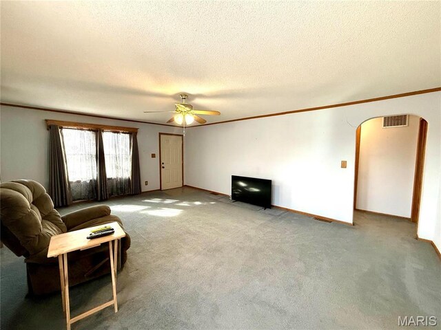509 & St, Wellsville, MO 63384 - photo 27
