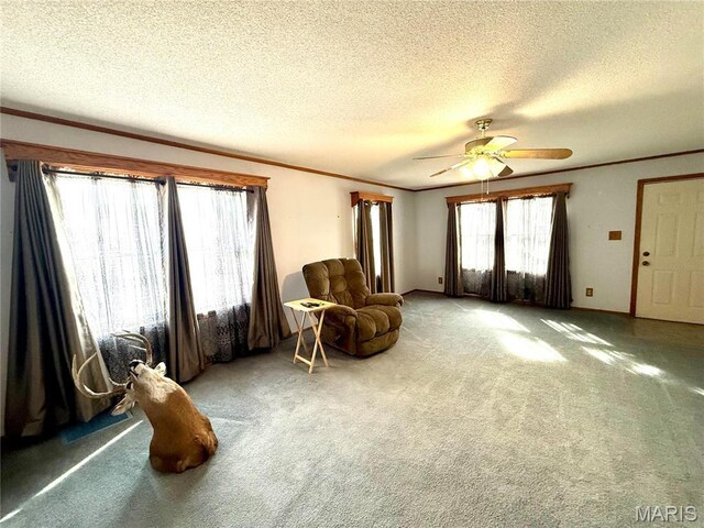 509 & St, Wellsville, MO 63384 - photo 28