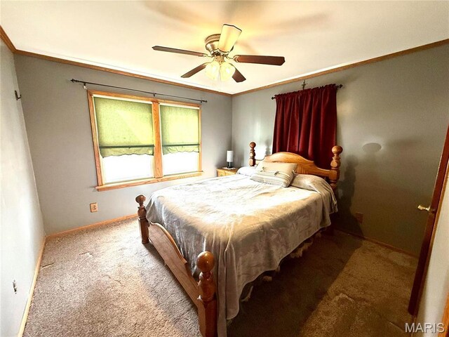 509 & St, Wellsville, MO 63384 - photo 37