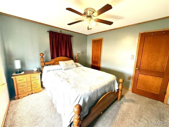 509 & St, Wellsville, MO 63384 - photo 38