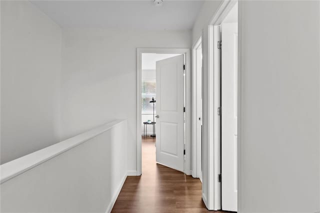 2005 Lynch St Unit C, Saint Louis, MO 63118 - hallway with dark wood-type flooring and baseboards