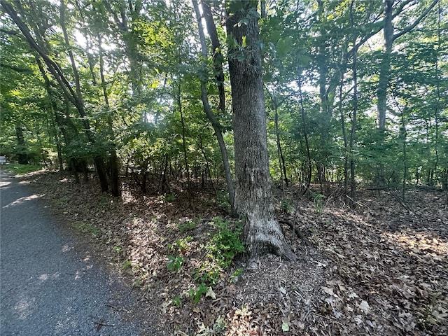 923 Hickory Ln, Fenton, MO 63026 - photo 2