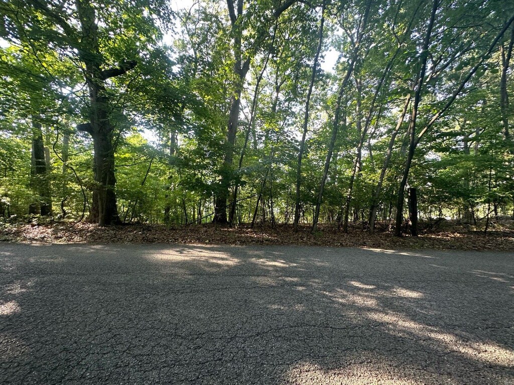 923 Hickory Ln, Fenton, MO 63026 - photo 3