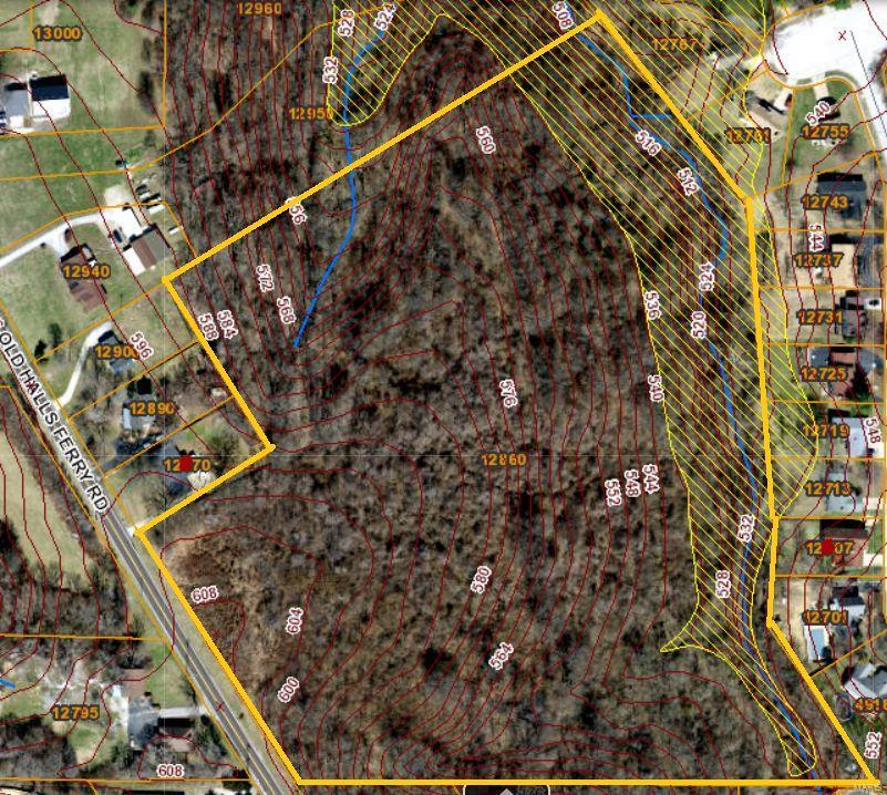 12860 Old Halls Ferry Rd, Black Jack, MO 63033 - photo 1