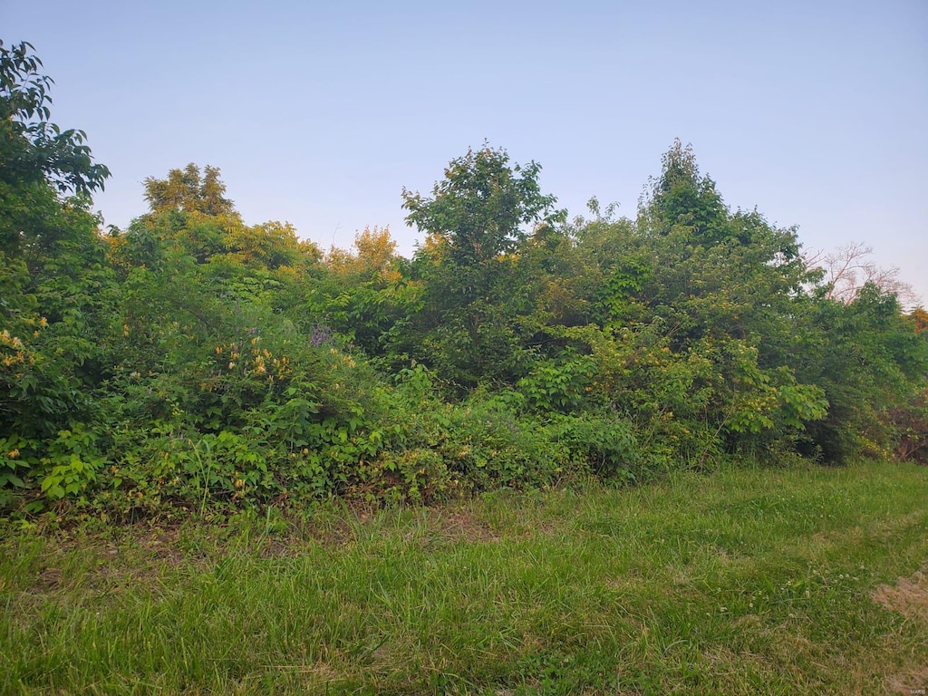 12860 Old Halls Ferry Rd, Black Jack, MO 63033 - photo 4