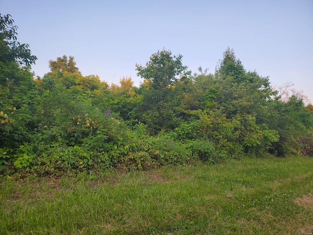 12860 Old Halls Ferry Rd, Black Jack, MO 63033 - photo 4