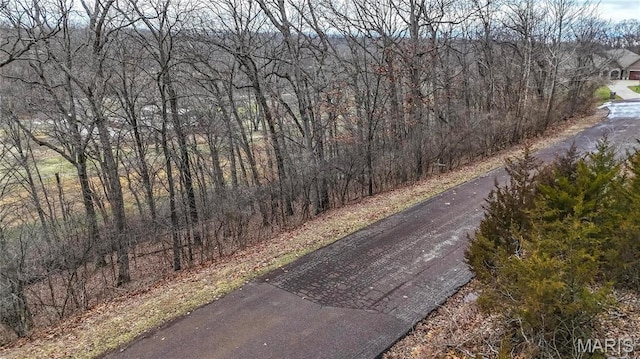 1201 Diamond Valley Dr, High Ridge, MO 63049 - photo 1