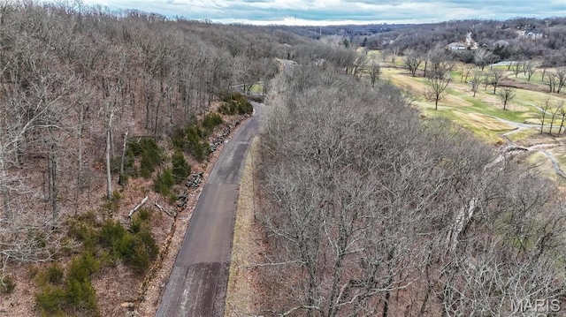 1201 Diamond Valley Dr, High Ridge, MO 63049 - photo 5