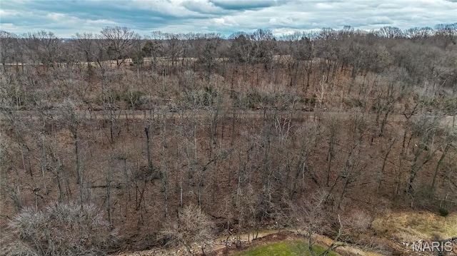 1201 Diamond Valley Dr, High Ridge, MO 63049 - photo 6