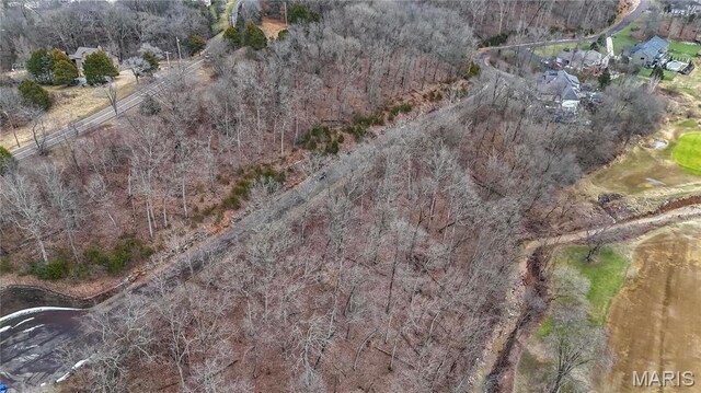 1201 Diamond Valley Dr, High Ridge, MO 63049 - photo 10