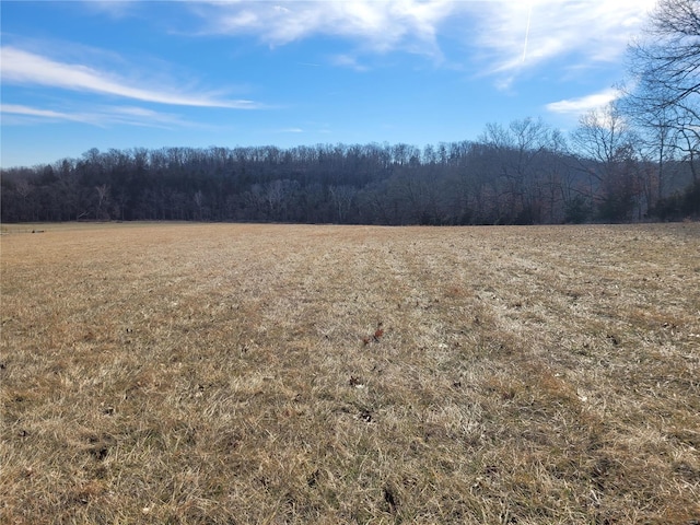 200 Big Creek Valley Dr, Troy, MO 63379 - photo 1