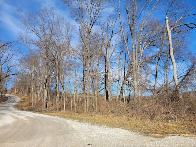 200 Big Creek Valley Dr, Troy, MO 63379 - photo 2