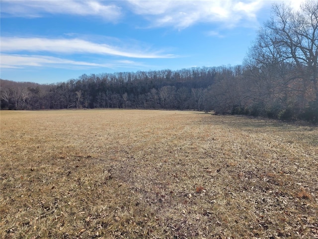 200 Big Creek Valley Dr, Troy, MO 63379 - photo 6