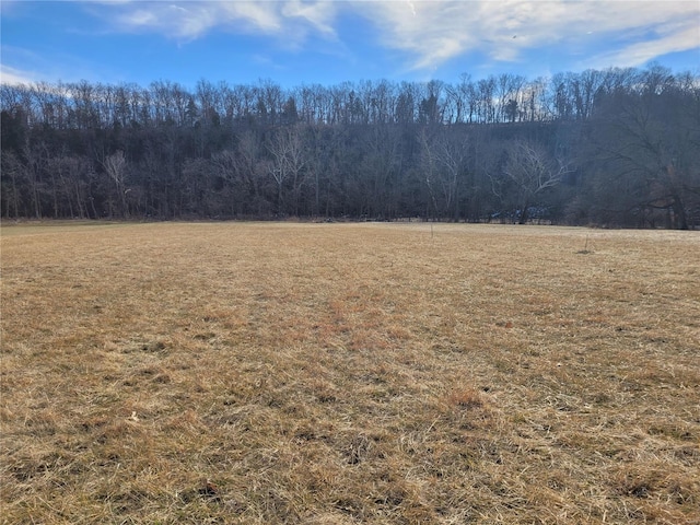 200 Big Creek Valley Dr, Troy, MO 63379 - photo 7
