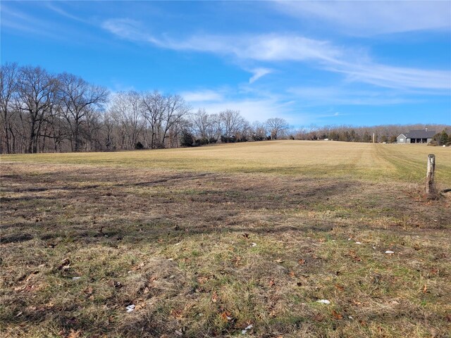 200 Big Creek Valley Dr, Troy, MO 63379 - photo 8