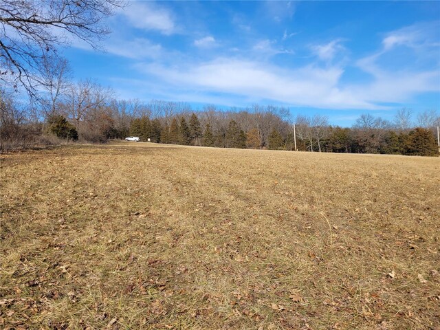 200 Big Creek Valley Dr, Troy, MO 63379 - photo 13