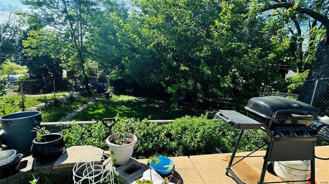 4469 Grace Ave, Saint Louis, MO 63116 - photo 17