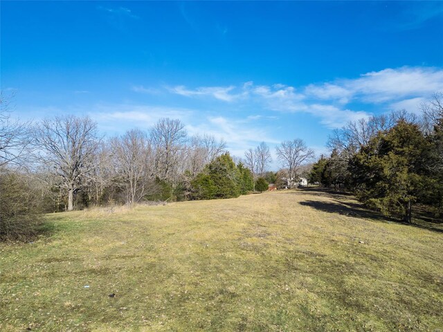 1410 Clarke St, De Soto, MO 63020 - photo 9