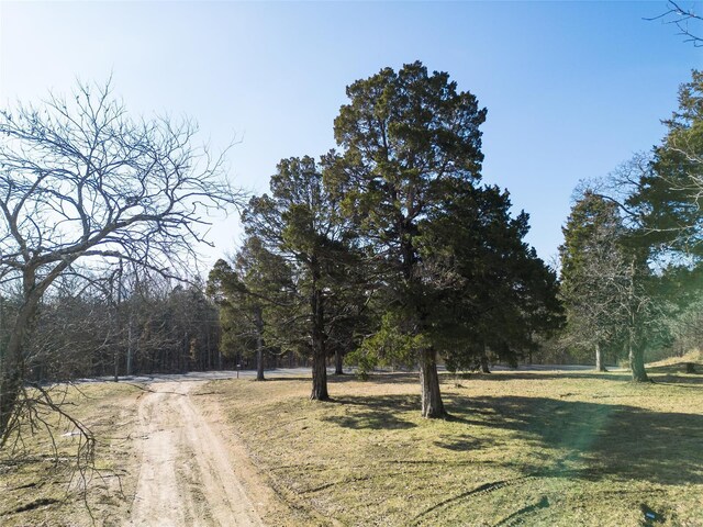 1410 Clarke St, De Soto, MO 63020 - photo 10