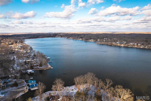 1517 Lakeshore Dr, Cuba, MO 65453 - photo 26