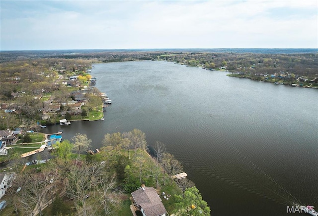 1517 Lakeshore Dr, Cuba, MO 65453 - photo 28