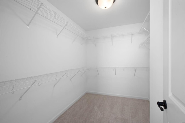 2543 Chukka Dr, Eureka, MO 63025 - walk in closet with carpet