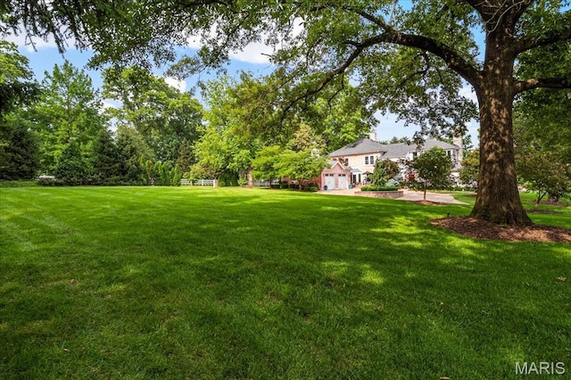 10002 Litzsinger Rd, Ladue, MO 63124 - photo 4