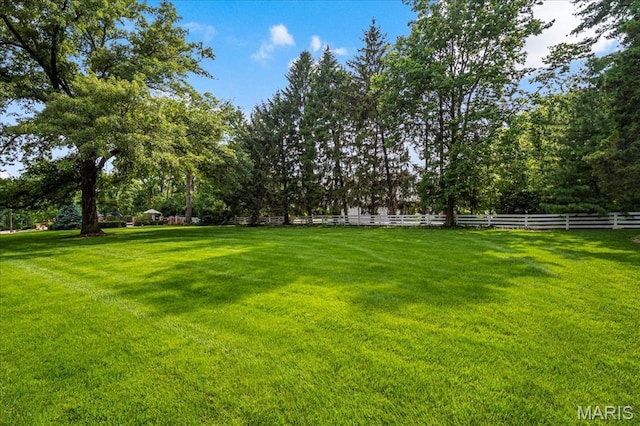 10002 Litzsinger Rd, Ladue, MO 63124 - photo 52