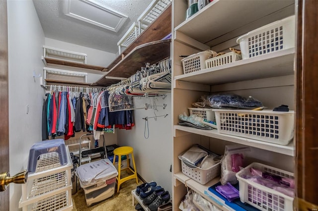 spacious closet with attic access and carpet