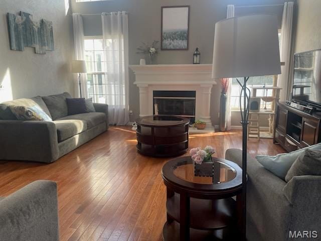 living room featuring wood-type flooring and a glass covered fireplace