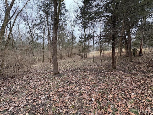 4625 Vixen Cir, Wildwood, MO 63069 - photo 37