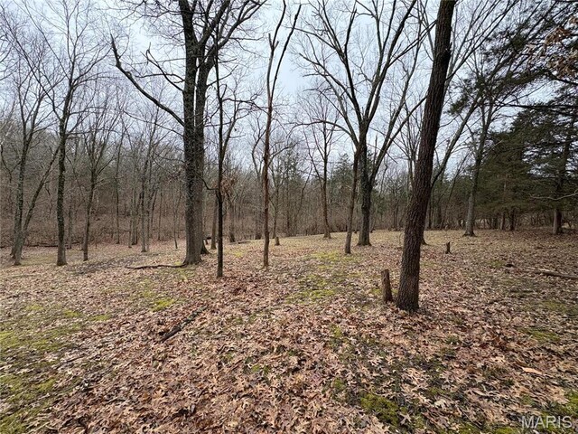 4625 Vixen Cir, Wildwood, MO 63069 - photo 39