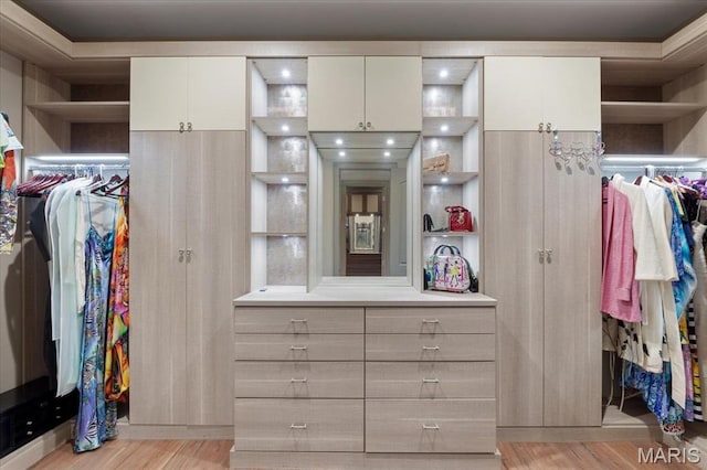 2535 S Lindbergh Blvd, Saint Louis, MO 63131 - spacious closet featuring light wood-style floors