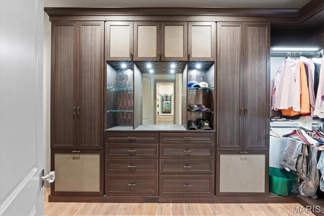2535 S Lindbergh Blvd, Saint Louis, MO 63131 - view of closet