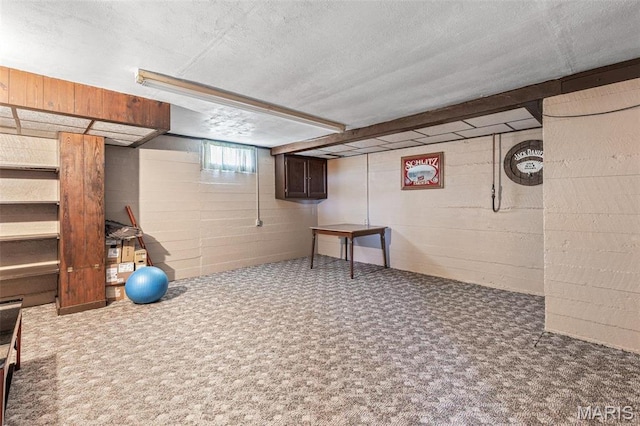 215 Virginia St, Saint Genevieve, MO 63670 - below grade area with concrete block wall, carpet floors, and a textured ceiling