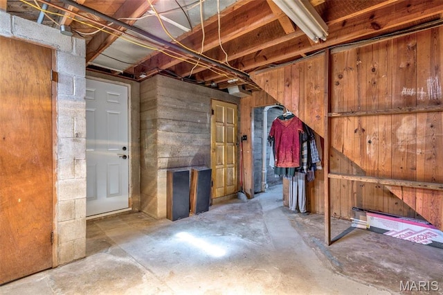 215 Virginia St, Saint Genevieve, MO 63670 - unfinished below grade area with wooden walls