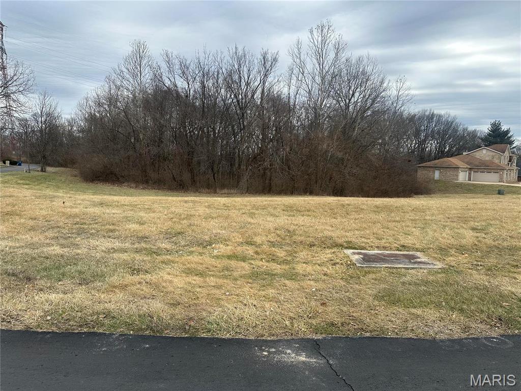 1548 Fountainhead Ln, Saint Louis, MO 63138