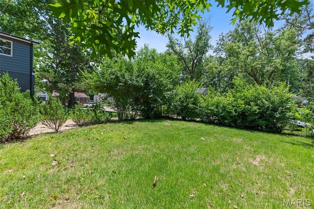 1247 Charlane Ct, Saint Louis, MO 63119 - view of grassy yard