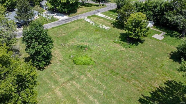 404 Lott, Jerseyville, IL 62052 - photo 6