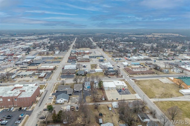 342 N Adams Ave, Lebanon, MO 65536 - photo 49