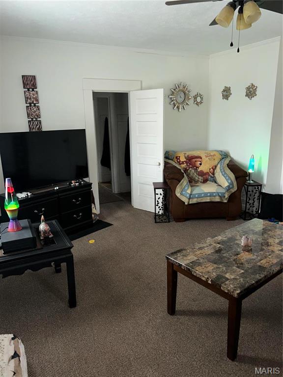 618 Church St, Hannibal, MO 63401 - living room with carpet and ceiling fan