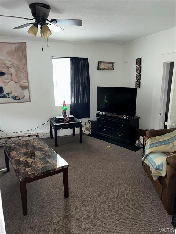 618 Church St, Hannibal, MO 63401 - carpeted living area with ceiling fan and crown molding