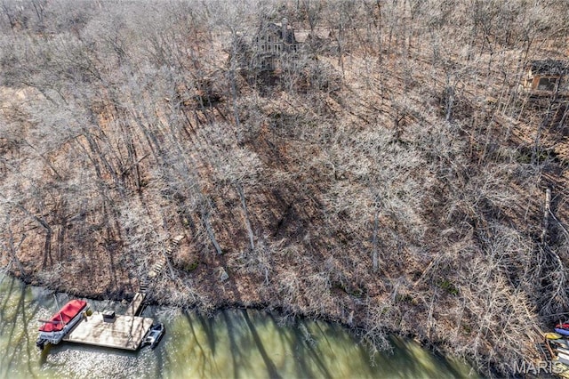 12054 Anthonies Mill Rd, Bourbon, MO 65441 - photo 51