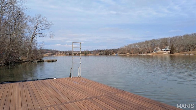 12054 Anthonies Mill Rd, Bourbon, MO 65441 - photo 55