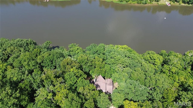 12054 Anthonies Mill Rd, Bourbon, MO 65441 - photo 72