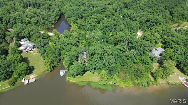 12054 Anthonies Mill Rd, Bourbon, MO 65441 - photo 73