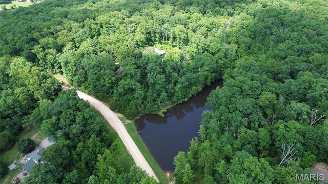 12054 Anthonies Mill Rd, Bourbon, MO 65441 - photo 74