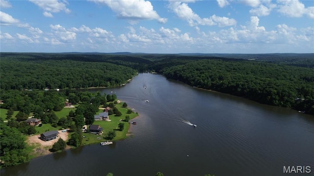 12054 Anthonies Mill Rd, Bourbon, MO 65441 - photo 80