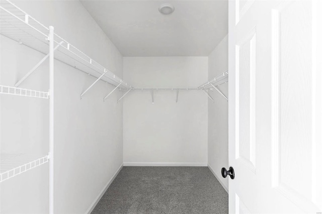 317 Winding Bluffs Ct, Fenton, MO 63026 - spacious closet with carpet floors
